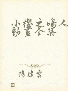 小樱之鸣人之夜动画全集