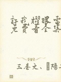 许我耀眼电视剧免费看全集