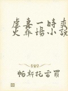 虐妻一时爽追妻火葬场小说