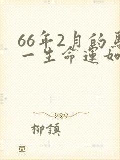 66年2月的马一生命运如何