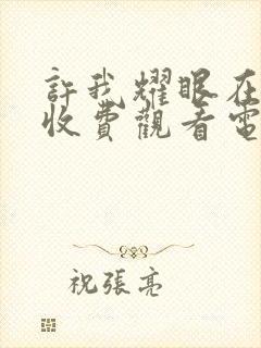 许我耀眼在线免收费观看电视剧封面