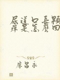 尿道口长颗粒又痒是怎么回事