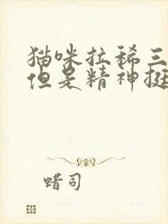 猫咪拉稀三天了但是精神挺好的封面