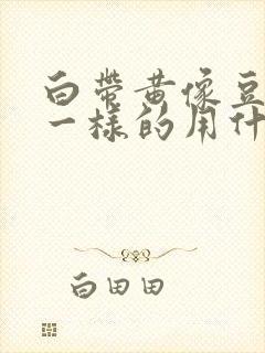 白带黄像豆腐渣一样的用什么药封面