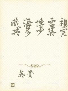 藏海传电视剧一共多少集完结