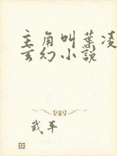 主角叫叶凌天的玄幻小说封面