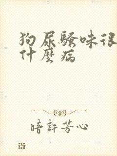 狗尿骚味很重是什么病