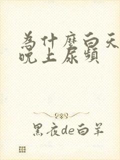 为什么白天尿少晚上尿频