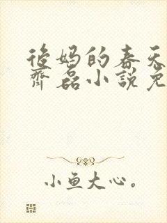 后妈的春天赵妍齐磊小说免费阅读