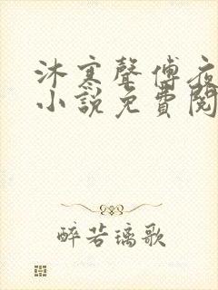 沐寒声傅夜七的小说免费阅读封面