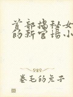 首部揭秘女高层的新官场小说