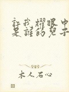 许我耀眼中辰辰是谁的儿子