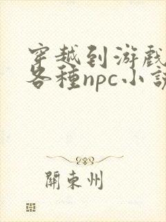 穿越到游戏里和各种npc小说