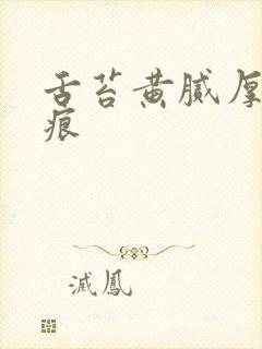 舌苔黄腻厚有齿痕