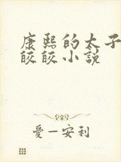 康熙的太子妃沈皎皎小说