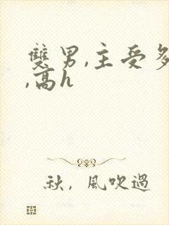 双男,主受多攻,高h