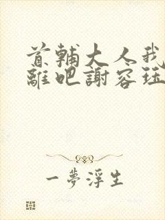 首辅大人我们和离吧谢容珏