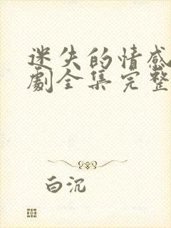 迷失的情感电视剧全集完整版封面