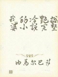 我的冷艳总裁老婆小说完整版