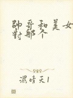 帅哥和美女这个对那个