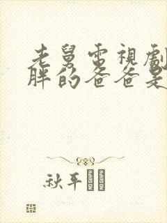 老舅电视剧里二胖的爸爸是谁封面