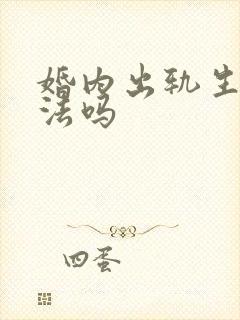 婚内出轨生子违法吗