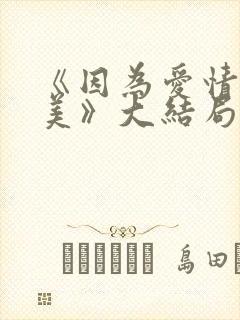 《因为爱情有多美》大结局封面