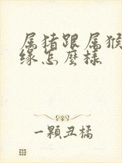 属猪跟属猴的姻缘怎么样封面