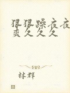 狠狠躁夜夜躁人爽久久久