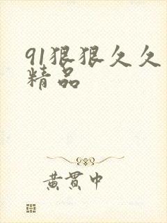 91狠狠久久久精品