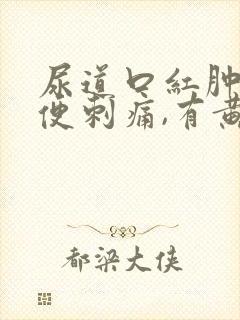 尿道口红肿,小便刺痛,有黄色分泌物封面