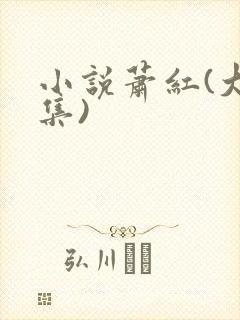 小说萧红(大全集)