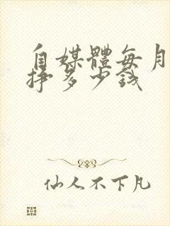 自媒体每月可以挣多少钱