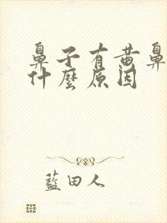 鼻子有黄鼻涕是什么原因