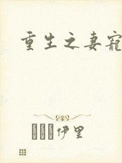 重生之妻宠夫贵封面