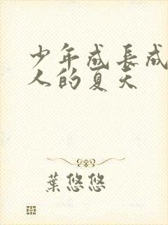 少年成长成为大人的夏天