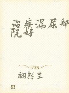 治疗漏尿哪家医院好