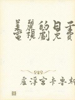 美丽的日子韩剧电视剧免费观看全集国语