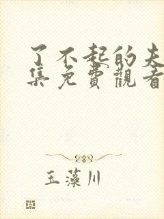 了不起的夫人全集免费观看封面