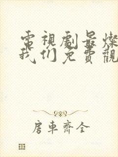 电视剧最灿烂的我们免费观看