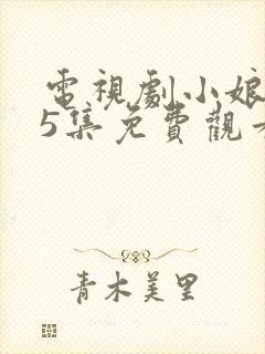 电视剧小娘惹45集免费观看大结局剧情