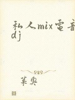 私人mix电音dj