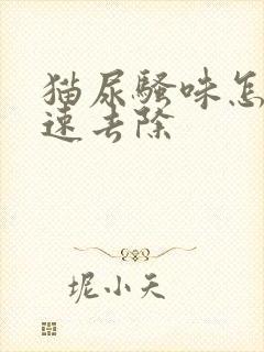 猫尿骚味怎么快速去除