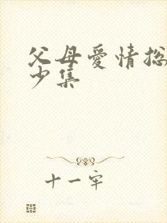 父母爱情总共多少集封面