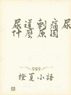 尿道刺痛尿不尽什么原因