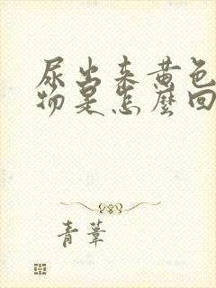 尿出来黄色分泌物是怎么回事