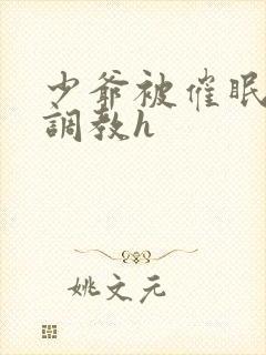 少爷被催眠玩弄调教h