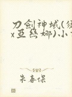 刀剑神域(须乡x亚丝娜)小说封面