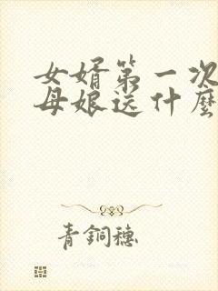 女婿第一次见丈母娘送什么封面