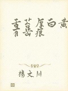 舌苔厚白黄舌边有齿痕